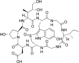 Image illustrative de l’article Bêta-Amanitine