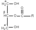 Figure 1 : β-monoglycéride.