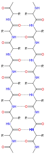 Feuillet β antiparallèle