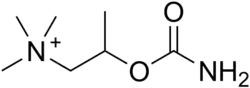 Image illustrative de l’article Béthanéchol