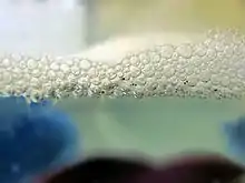 Bulles flottantes avec des minuscules poissons transparents aux yeux noirs