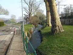 Bièvre près de l'entrée du domaine de l'INRA.