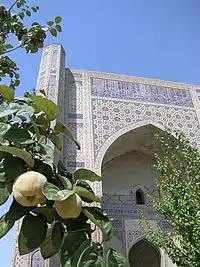 Mosquée Bibi-Khanym : portail du bâtiment.
