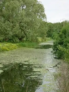 L'Ardusson à Marigny-le-Châtel.