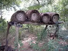 Ruches dans la région de Fada N'Gourma (Burkina Faso)