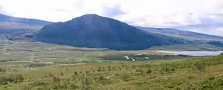 Méandres d'un cours d'eau traversant une plaine au pied d'une montagne.