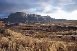 Le désert de Chihuahua dans le parc de Big Bend.