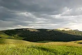 Image illustrative de l’article Forêt nationale de Bighorn