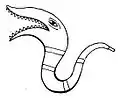 Bigophone en forme de serpent.