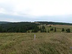 Panorama près du Markstein.