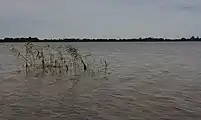 Les Loosdrechtse Plassen près Oud-Loosdrecht