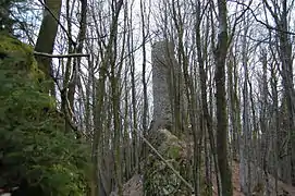 Stadlern: Les ruines du château de Reichenstein.