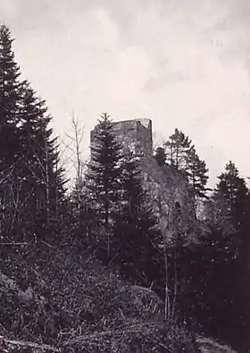Image illustrative de l’article Château de Bilstein