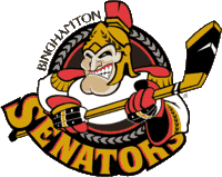 Description de l'image Binghamton Senators.gif.