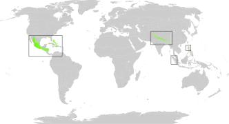 Principales zones : Amérique centrale, Grandes Antilles, piémont himalayen, Nord des Philippines, Sumatra.