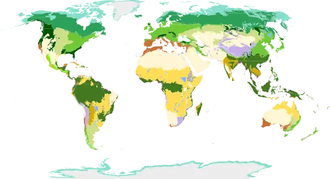 Classification du WWF, différenciant 14 biomes terrestres (deux pour la France).