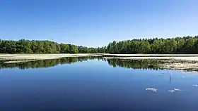 Image illustrative de l’article Landes et étangs de Haute-Lusace