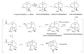 Étapes de la biosynthèse de l'artémisinine