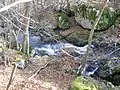 Le ruisseau en aval de la vallée glaciaire (altitude : environ 1 050 m).