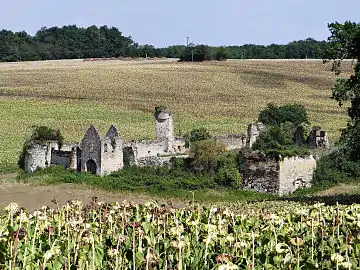 Château de Birac, à Bourdieu