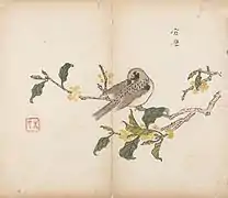 Oiseau sur une branche fleurie