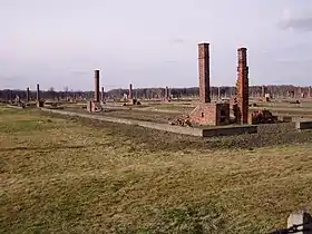 Birkenau BIIb 003.JPG