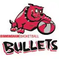 Logo du Birmingham Bullets