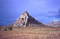 Grassy plain with isolated palms and a rocky outcrop in the background