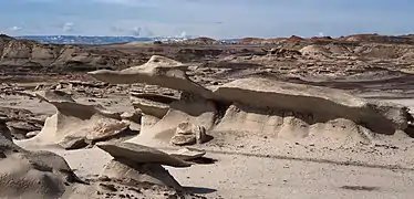 Bisti/De-Na-Zin Wilderness.