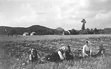 Plevice Copovtova, 1913. Photographie de Fran Vesel