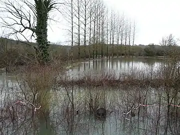 Crue du Blâme en février 2016.