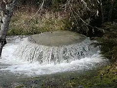 Source artésienne du puits de Bontemps…