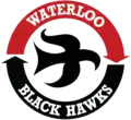 Description de l'image Black Hawks de Waterloo 2014.png.