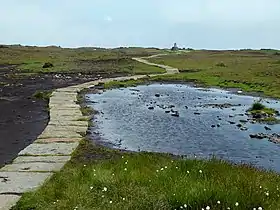 Vue de la zone sommitale de Black Hill parcourue par le Pennine Way.