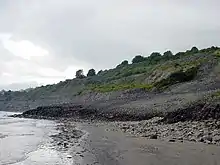 glissement de terrain sur la côte entre Charmouth et Lyme Regis