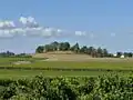 Site de l'ancien château de Blaignan.