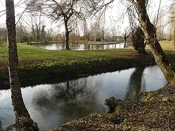 Le Voultron au parc-arboretum du château-mairie de Blanzaguet.