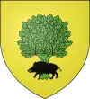 Blason