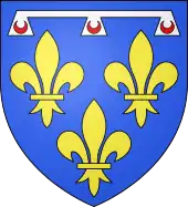 Blason des comtes d'Angoulême de la famille de Valois-Orléans