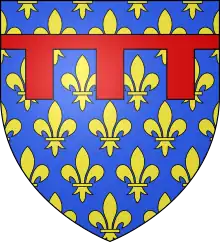 D'azur semé de lys d'or au lambel de gueules.Ce sont les armes de Charles, frère de saint Louis, dernier fils de Louis VIII, brisant par un lambel celles de son père. À travers les nombreuses et prestigieuses alliances de la maison capétienne d'Anjou-Sicile qu'il fonde, ces armes se rencontrent dans toute l'héraldique européenne.