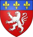 Blason de la ville de Lyon : de gueules au lion d'argent, au chef de France.