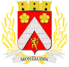 Blason de Montaudin