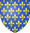 Louis de France (1244-1260)