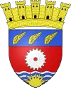 Blason