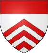 Blason de Saint-Palais