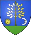 Blason de Boldogasszonyfa