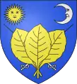 Blason de Magyarbánhegyes