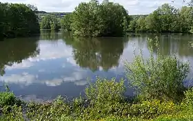 Vue d'un fleuve bordé par des arbres