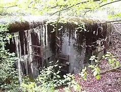 Blockhaus (Forêt de Coume)