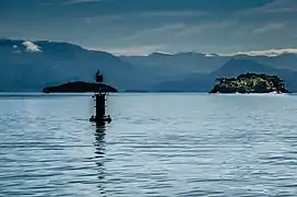 La baie d'Ilha Grande en fin d'après-midi